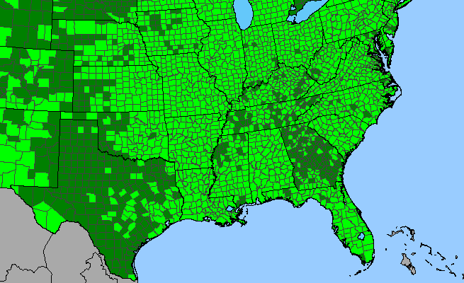 The range of Sambucus canadensis